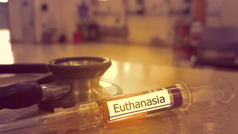 You are currently viewing Legal Analysis Of Euthanasia