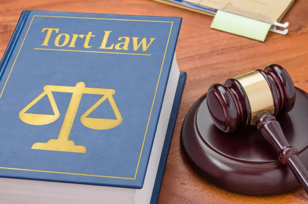 Read more about the article Law of Torts in India